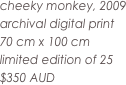 cheeky monkey, 2009
archival digital print
70 cm x 100 cm
limited edition of 25
$350 AUD