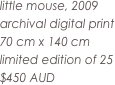 little mouse, 2009
archival digital print
70 cm x 140 cm
limited edition of 25
$450 AUD